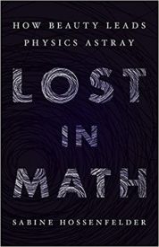 Lost in Math