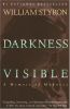 Darkness Visible